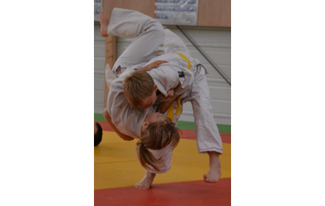 3 JOURNEES DE STAGE DEPARTEMENTAL JUDO - 28 29 ET 30 Octobre- ANNULÉ 